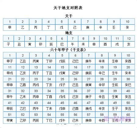 1982 天干地支|干支对照表